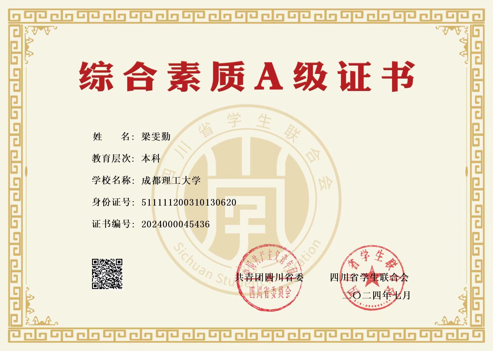 综合素质A级证书（共青团四川省委·四川省学生联合会）