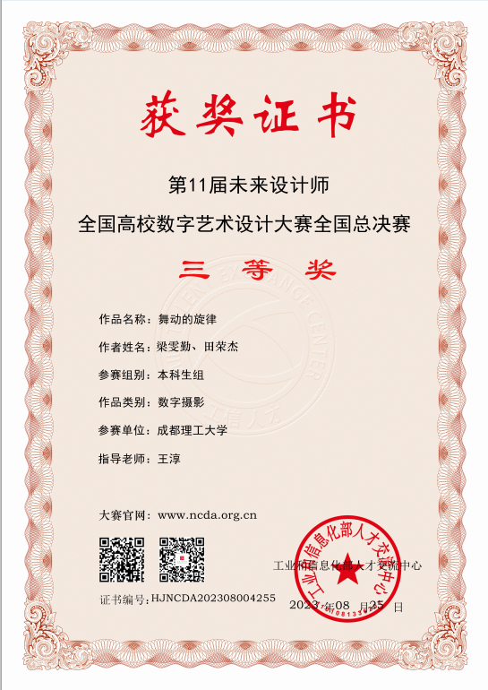 第11届未来设计师·全国高校数字艺术设计大赛全国总决赛 三等奖